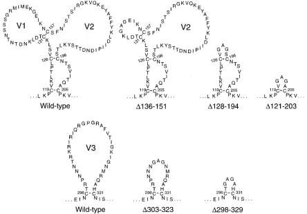 FIG. 1. Mutant envelope glycoproteins. The predicted sequence of each of the mutant glycoproteins in the region of the deletion is shown
