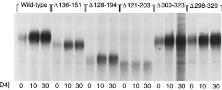 TABLE 1. Functional properties of the HIV-1 envelopeglycoprotein mutants