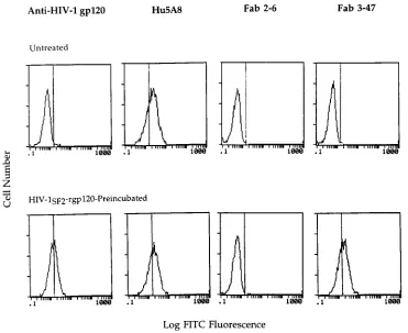 FIG. 3. Fab clone 3-47 reactivity with cell surface-expressed CD4 on untreated and HIV-1alone or with HIV-1FITC-conjugated goat anti-human IgG, F(abSF2 rgp120-pretreated H9 cells