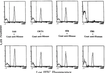 FIG. 6. Reactivity of Fab clone 3-47 with solubilized cellular CD4. H9 cellswere labelled with Sulfo-NHS biotin