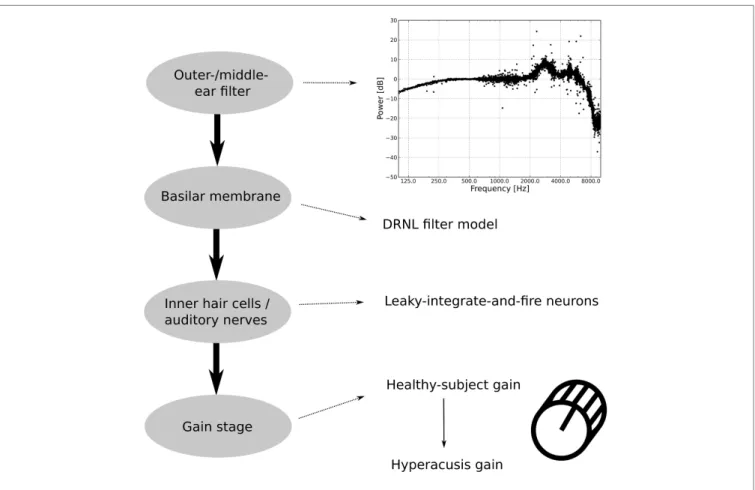 FigUre 2 | structure of the auditory model. The outer/middle ear   filter consists of multiple bandpass filters