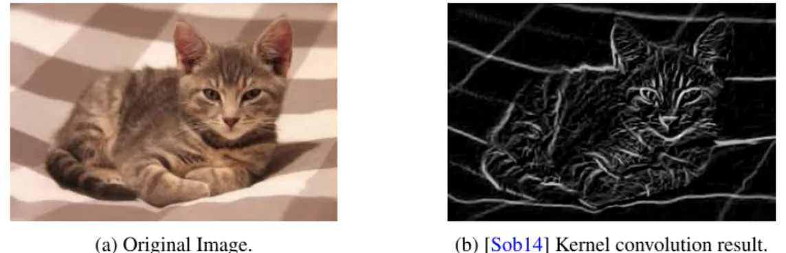 Figure 2.1: Example of the application of the Convolution Operation.