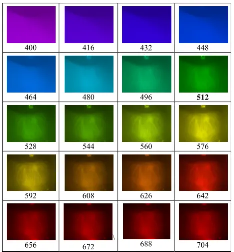 Fig. 1 The structure of the proposed multispectral capturing device  