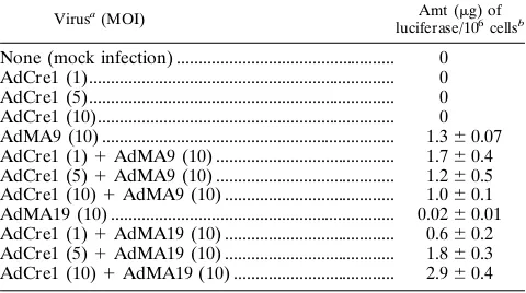 TABLE 1. Cre-dependent luciferase expression in infected 293 cells