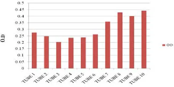 Fig. 1: Pigment production by Pseudomonas at different concentration of CuSO4