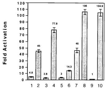 FIG. 6. Analysis of HIV-1 gene expression from proviruses containing eitherTAR mutants or TAR revertants