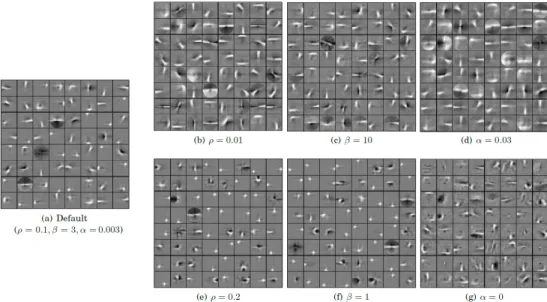 Figure 3.8 – Impact of the SA parameters on the learned weights (filters) when using 64 hidden units and the glyph dataset