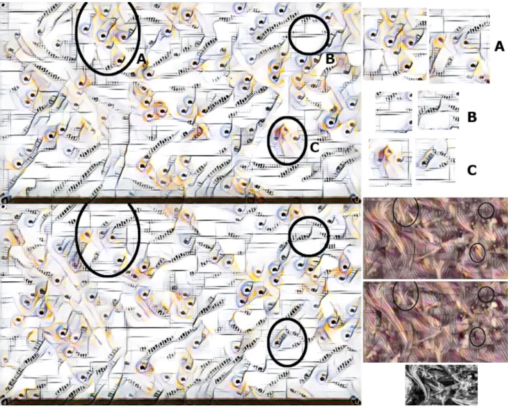 Figure 13: Analysis using the MOMA brush in the ‘magic markers’ mode on two variants of the same image, made visible through changes in motif (selected examples are shown in the top right quadrant)