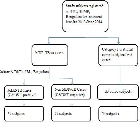 Figure 1: Flowchart depicting the selection of study subjects. 