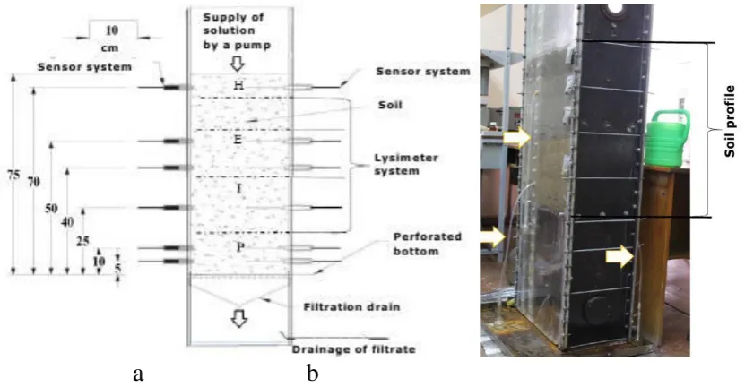 Figure 1 –a – the scheme of the laboratory-experimental complex with soil horizons: H b – laboratory-experimental complex concerning a modeling of migration  and transformation process of the phosphogypsus components in the soil profile:  – humus; E – eluvial; I – illuvial; D – maternal breed;   the photo of the laboratory-experimental complex; the channels of lysimeter solution are indicated with arrows 
