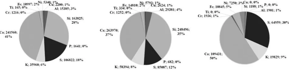 Figure 2 – The inflow and outflow of aqueous solution for the soil profile model 
