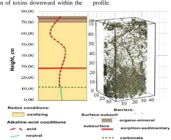 Figure 5 – The model of soil and geochemical situation with the structure of the interstices  in the fine-grained clay rocks according to the model profile 