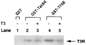 FIG. 6. Speciﬁc interaction between immobilized cT3R and HIV-1 Tat.proteins immobilized on glutathione-agarose beads