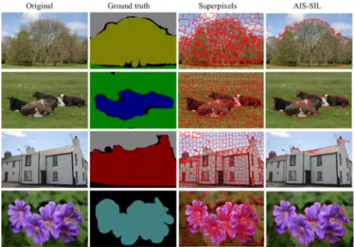 FIGURE 4. Some segmentation examples on MSRC-21.