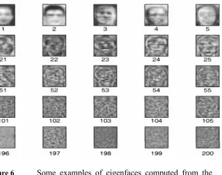Figure 6 Some examples of eigenfaces computed from the 