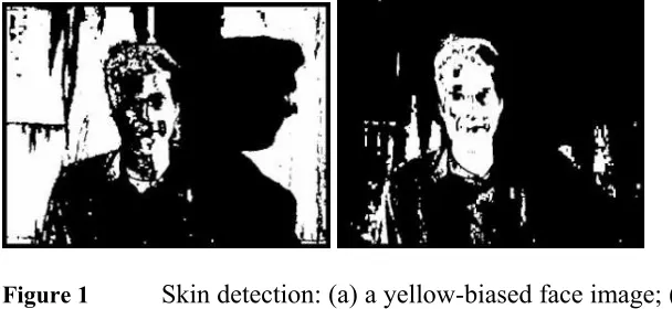 Figure 1 Skin detection: (a) a yellow-biased face image; (b) a 