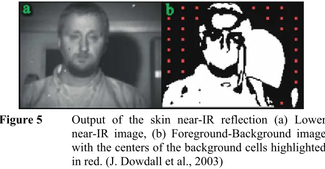 Figure 5  Output of the skin near-IR reflection (a) Lower 