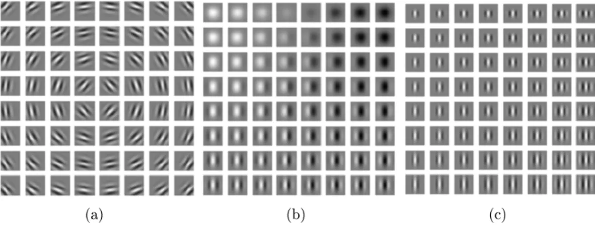 Figure 1.3: An example of Gabor kernels with (a) dierent coordinate parameters, (b) dierent sinusoid parameters, and (c) dierent Gaussian scale parameters.