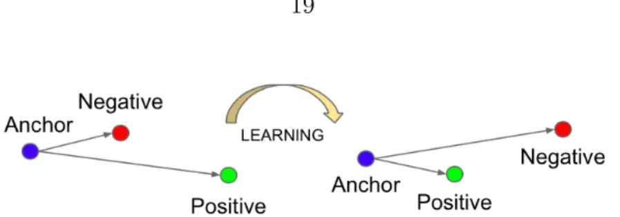 Figure 1.11: Triplet loss learning based on minimizing the distance between the anchor and the image from the same identity, and maximizing the distance between the anchor and the image from a very dierent identity [66].