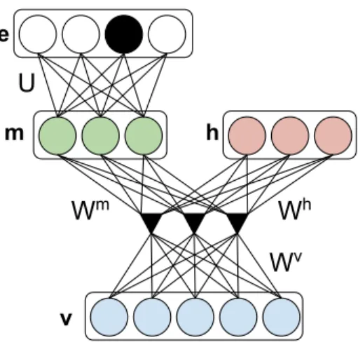 Figure 3.2: An instance of our model with two groups of hidden units. We can optionally include label units (e.g., labels e are connected to hidden units m).