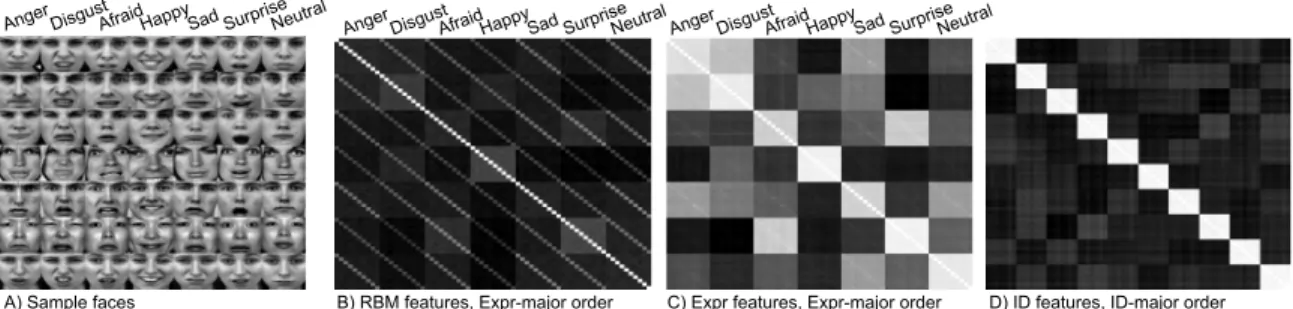 Figure 3.6: A) A sample of several identities with each of the 7 emotions in TFD. We drew 100 such samples and averaged the results