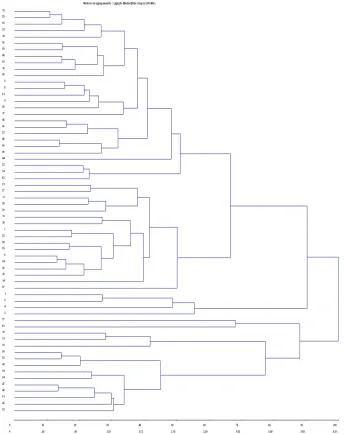Figure 2. UPGMA dendrogram with 63 garlic accessions, considering both localities: Monte Alegre do Sul and Piracicaba.
