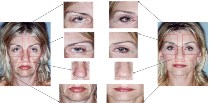 Figure 1.2 Example of region selection of facial component based approach for 
