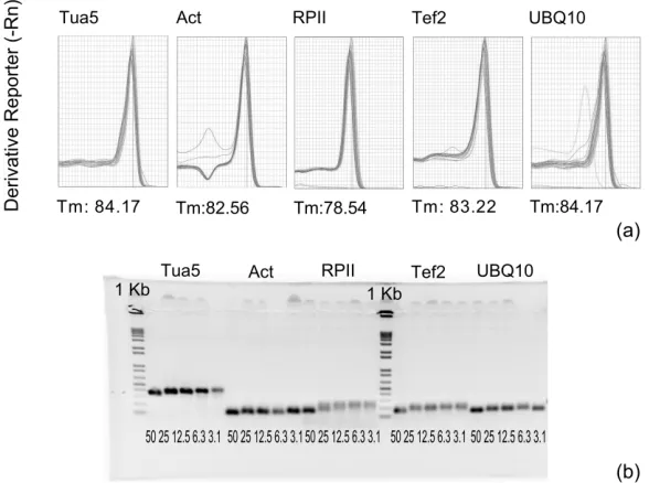 Figure 1. Specificity of amplified bands. a. Primer dissociation curves generated for the RT-qPCR system according to the 7500 SDS software program (Applied Biosystems)