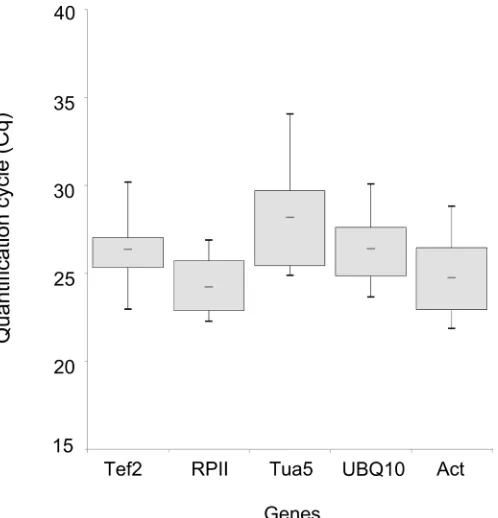 Figure 2. Expression levels of all the candidate reference genes (TEF2, RPII, Tua5, UBQ10, and Act)