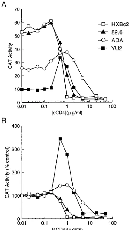 FIG. 2. Effect of sCD4 on replication of viruses with different envelopeglycoproteins