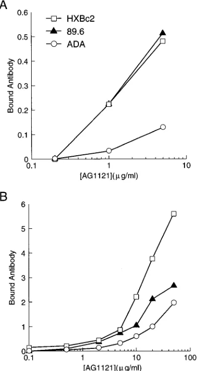 FIG. 9. Neutralization of recombinant viruses by the AG1121 antibodies.Cell-free viruses with the HXBc2 and 89.6 envelope glycoproteins were incu-