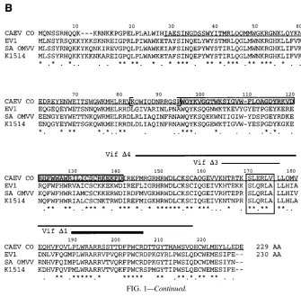 FIG. 1—Continued.