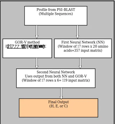 Figure 5.3: A general model for the newly developed protein secondary structure prediction method