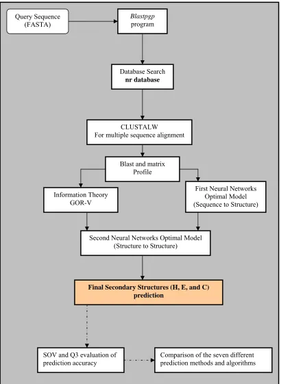 Figure 5.4: A detailed representation for the first version of the newly developed protein secondary structure prediction method (NN-GORV-I)  
