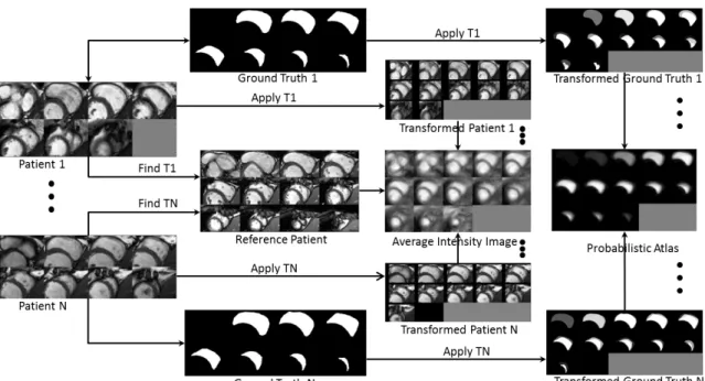 Figure 4.1: All patient images are affinely registered to the reference patient, and the obtained optimum transformation is applied to the corresponding ground truth images