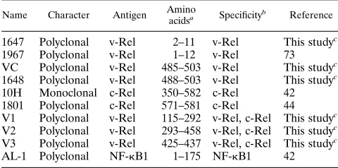 TABLE 1. Antibodies used in EMSA