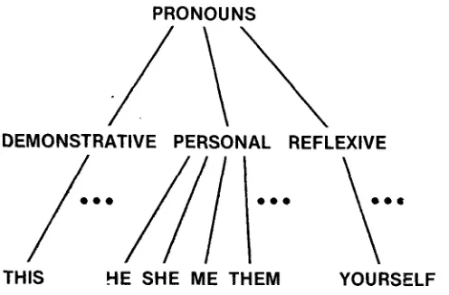 Figure 1. Category hierarchy. 