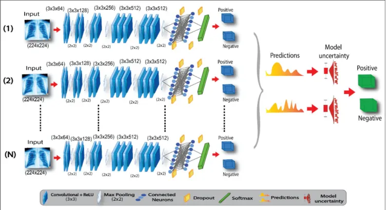 FIGURE 3. Illustration of the proposed TB identification based on B-CNN Testing method.