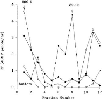FIG. 4. Copuriﬁcation of nascent HIV-1 DNA and viral proteins in an equi-librium density gradient