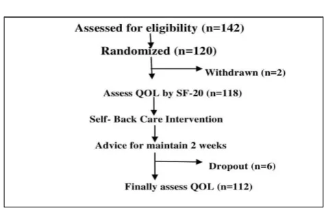 Figure 1: Flow chart of the study. 