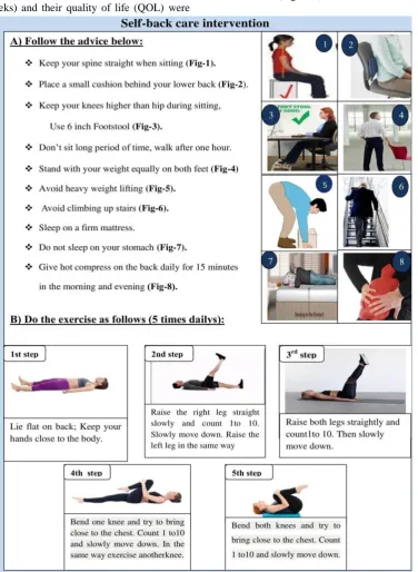 Figure 2: Self back care instruction for low back pain patients. 