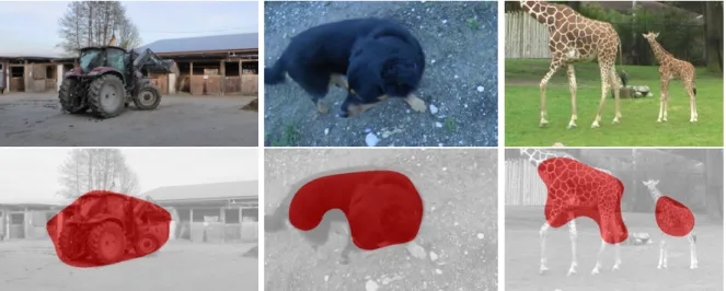 Figure 3.7: Examples of segmentations produced by our ConvNet on held out images. The ConvNet is able to identify the motile object (or objects) and segment it out from a single frame