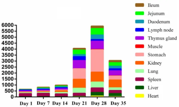 Figure 2. Expression profiles of Nramp1 gene in 12 different tissues in Meishan piglets at various developmental stages