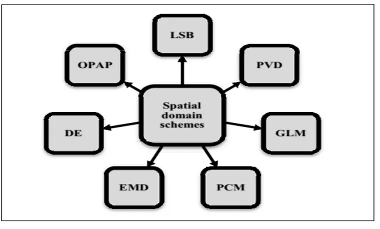 Figure 1.3 Embedding methods for spatial domain 