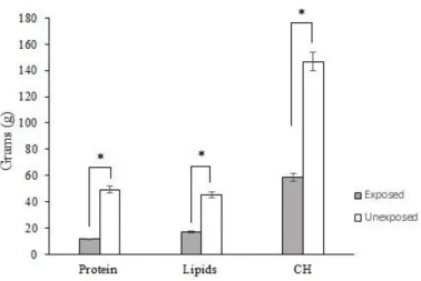 Figure 1. Nutritional analysis by group. Differences in consumption in grams per input/day of protein, lipids and carbohydrates (CH)