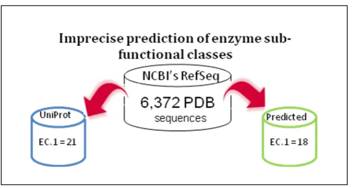 Figure 1.1: The differentiation in enzyme sub-functional class prediction  