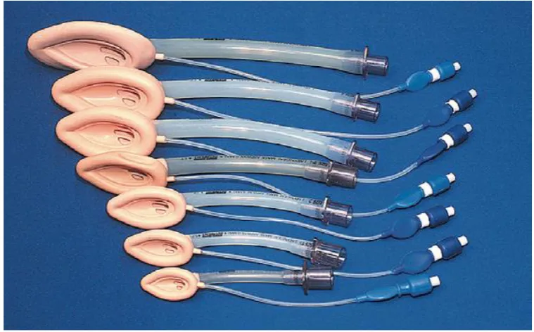 Figure showing LMA in various sizes 