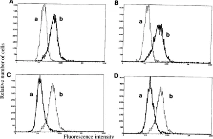 FIG. 4. FACS analysis of cells expressing 61C, 61B, and chimeric 61C/61B envelope proteins