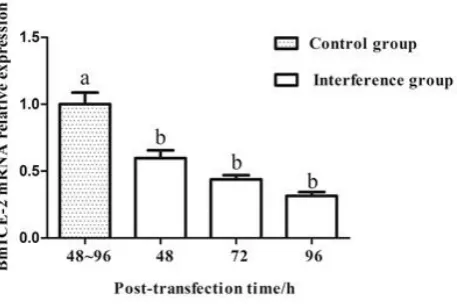 Figure 4. Silence efficiency detection ofWestern blotting  