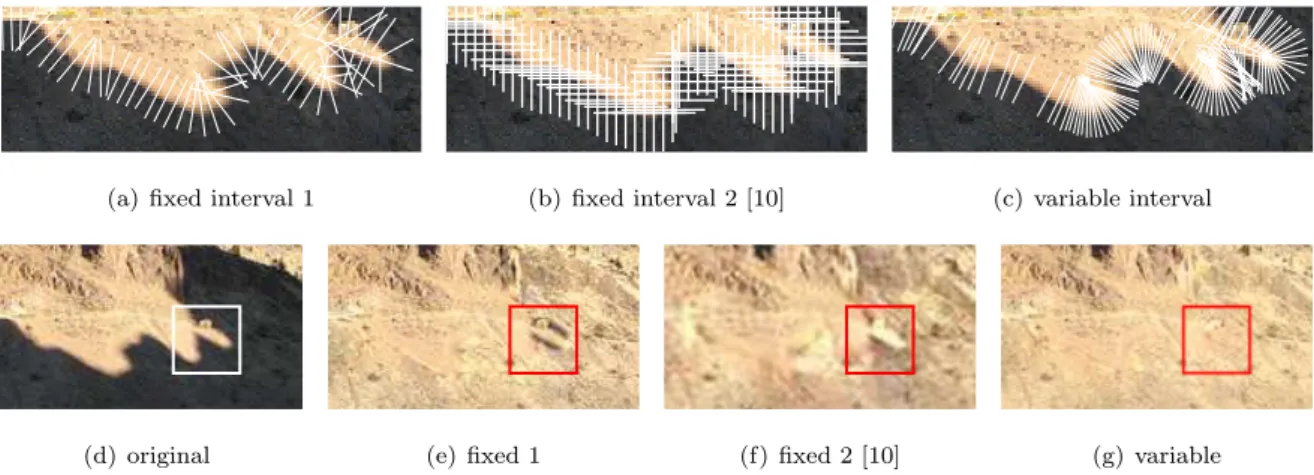 Figure 2: Comparison of sampling scheme. The white lines in (a), (b), and (c) are the sampling lines of the fixed interval using boundary- boundary-perpendicular sampling, the fixed interval using horizontal/vertical sampling in [10], and our boundary-boun